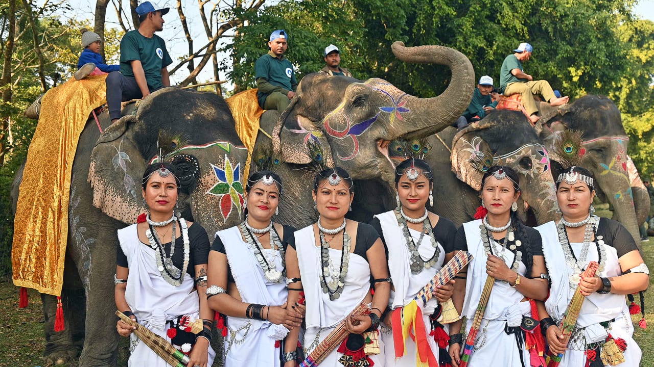 Image for The Nepali Traveler